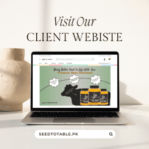 Seed To Table Portfolio